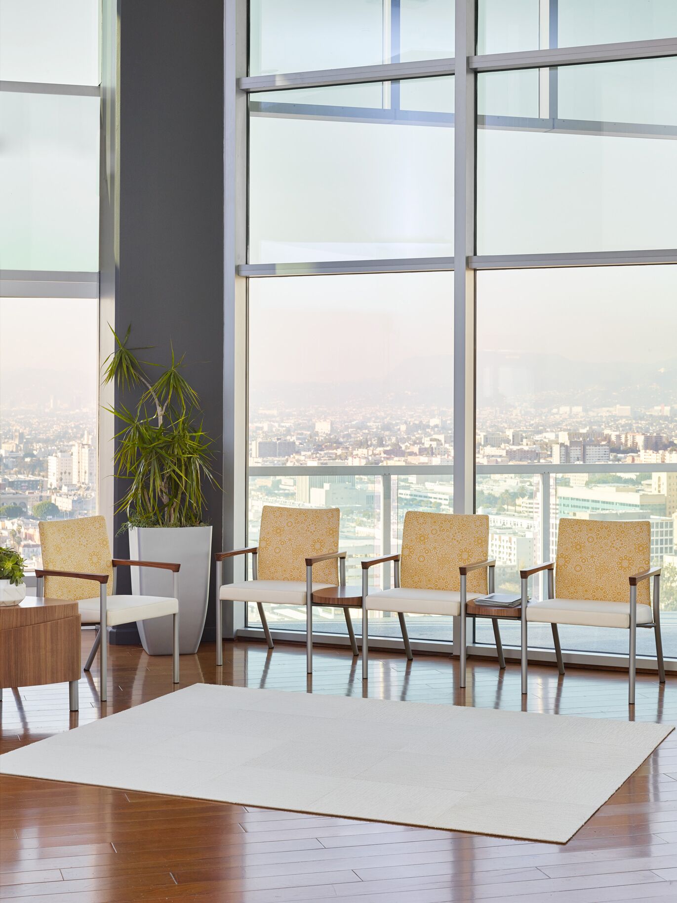 soleil guest | arcadia - image 8