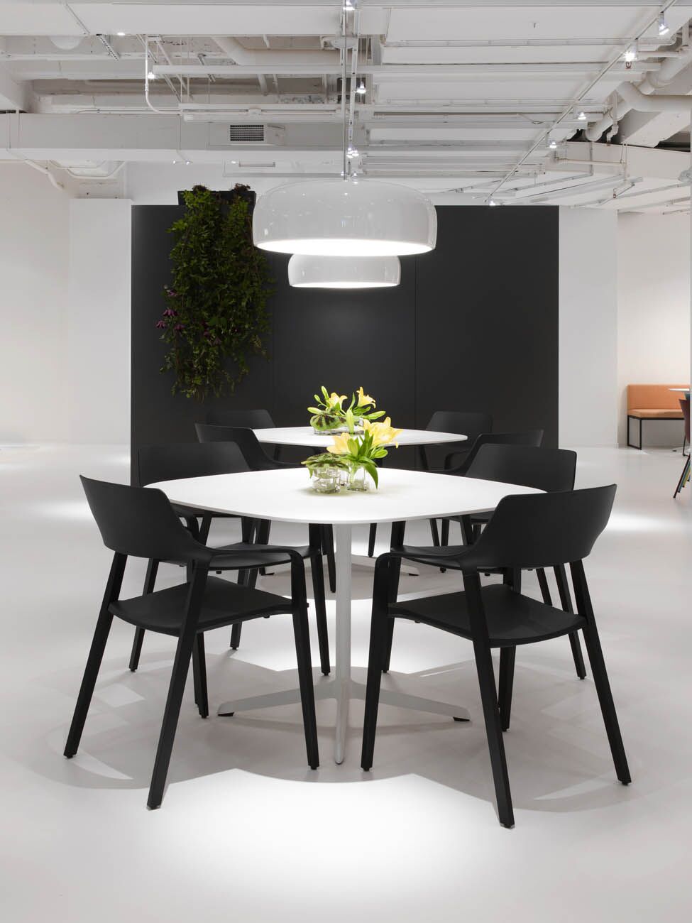 luca | davis furniture - image 8