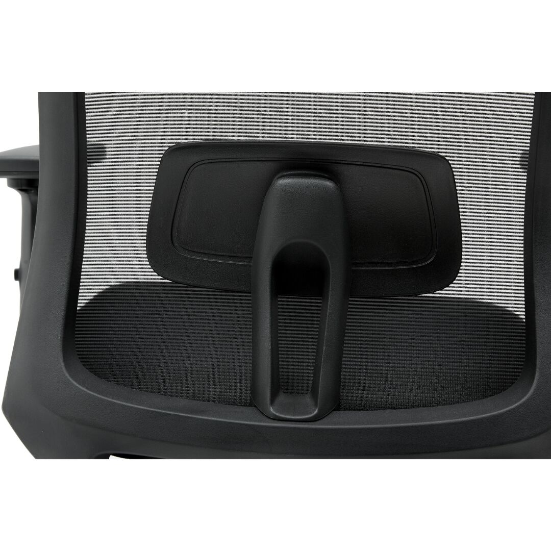 ods caressa task chair lumbar support view