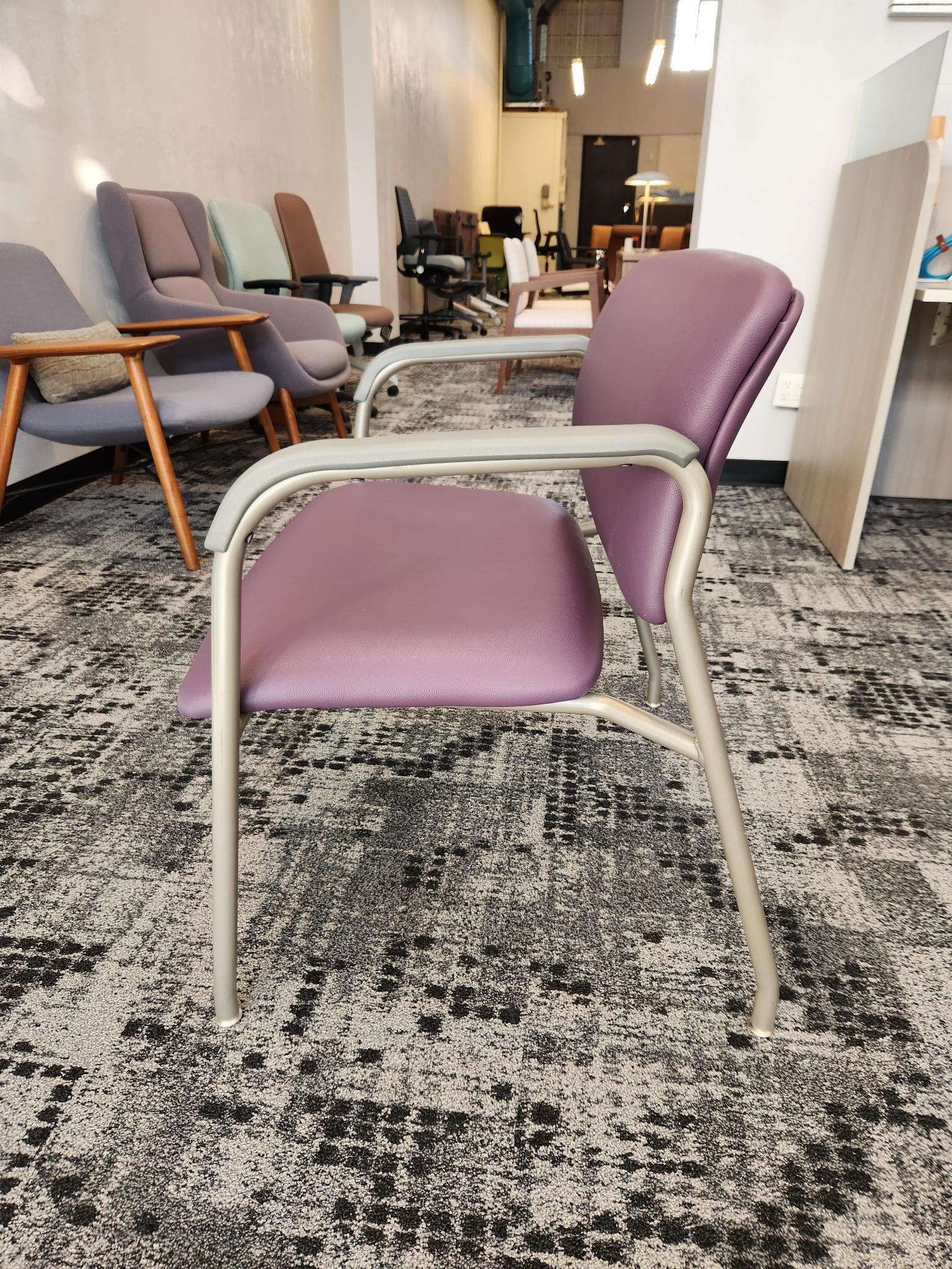 lynx+ bariatric | carolina - image 4