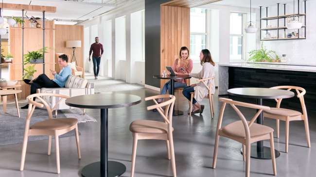 yelly cafe/dining chair | ofs - image 3